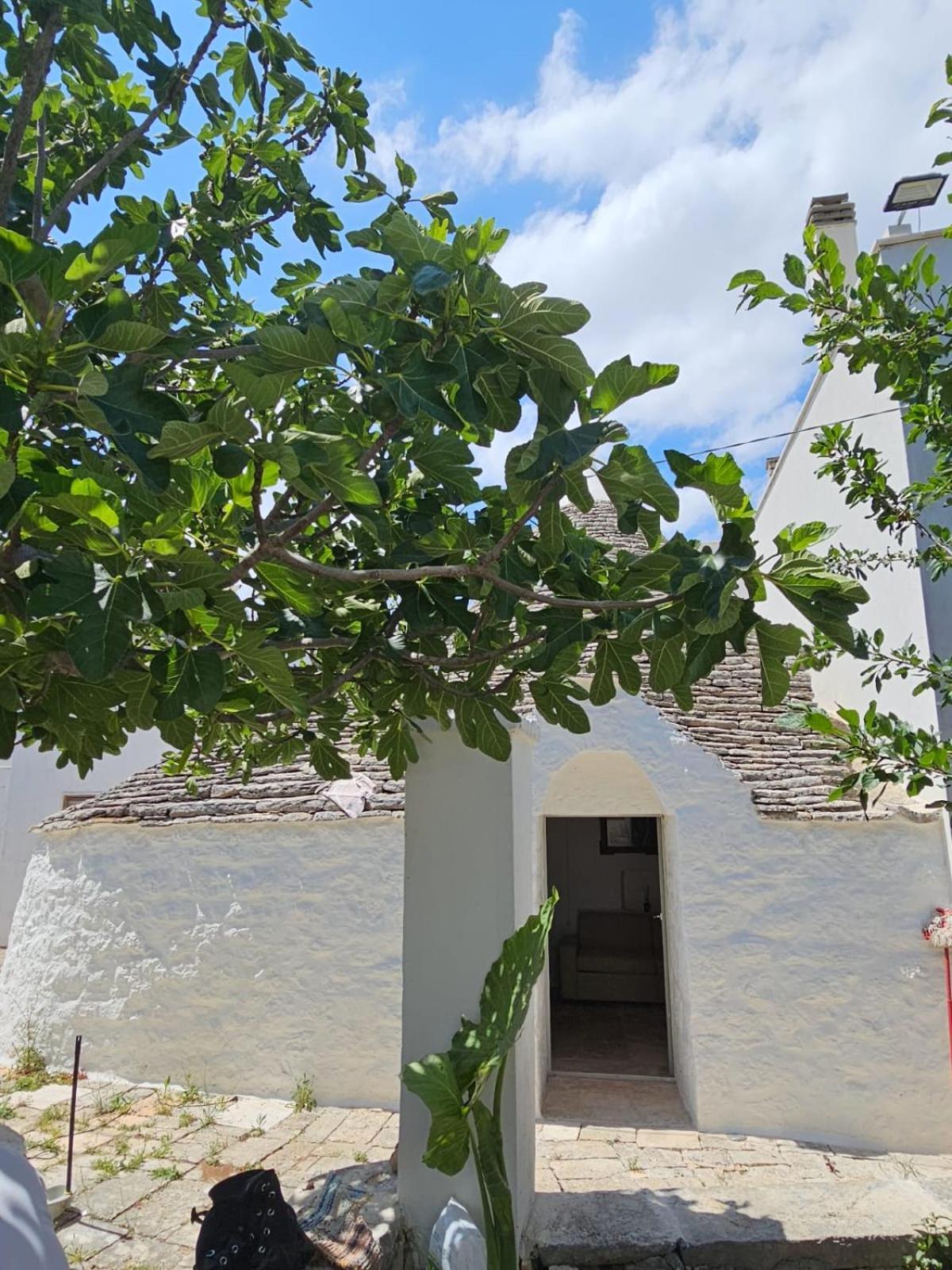 River Trulli Oasi Di Pace In Sito Unesco Alberobello Exteriör bild