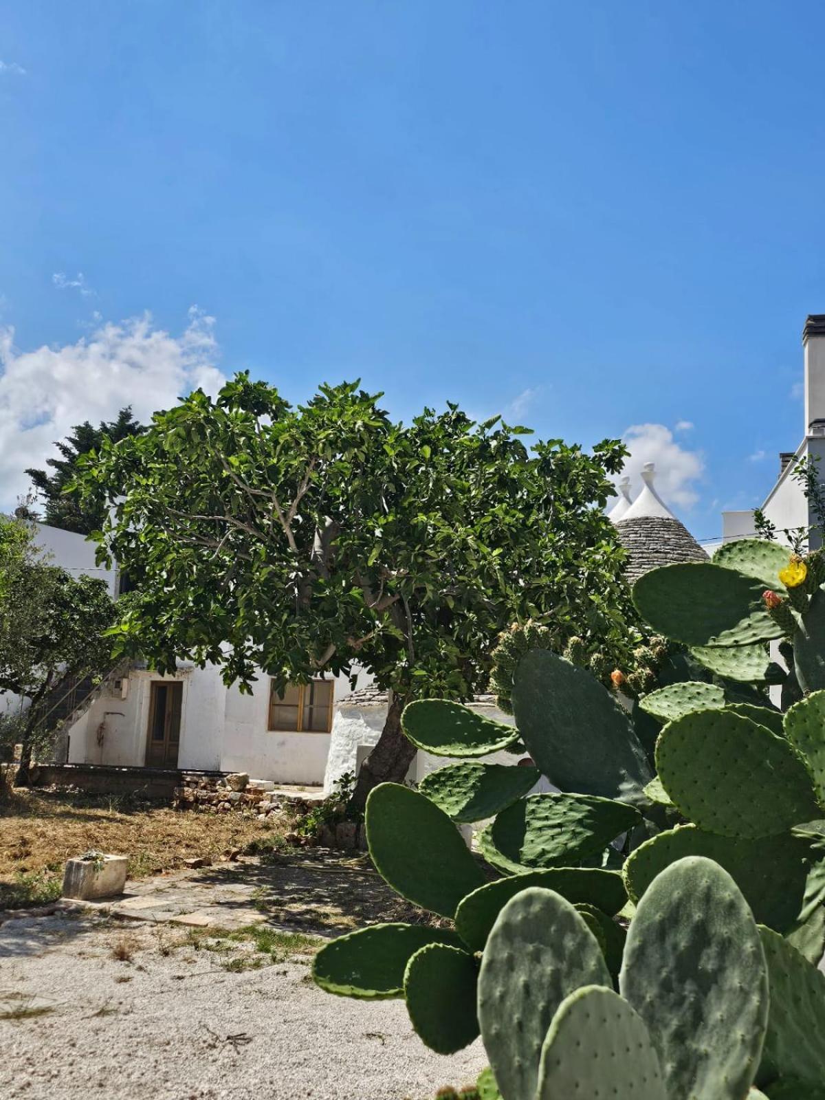 River Trulli Oasi Di Pace In Sito Unesco Alberobello Exteriör bild