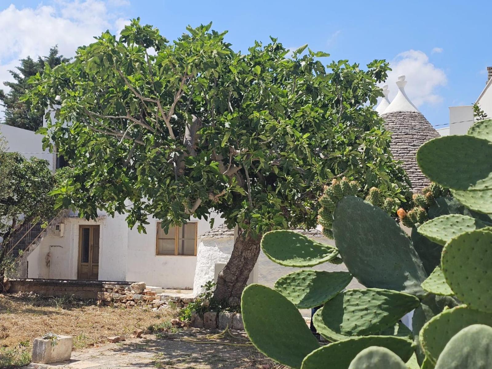 River Trulli Oasi Di Pace In Sito Unesco Alberobello Exteriör bild
