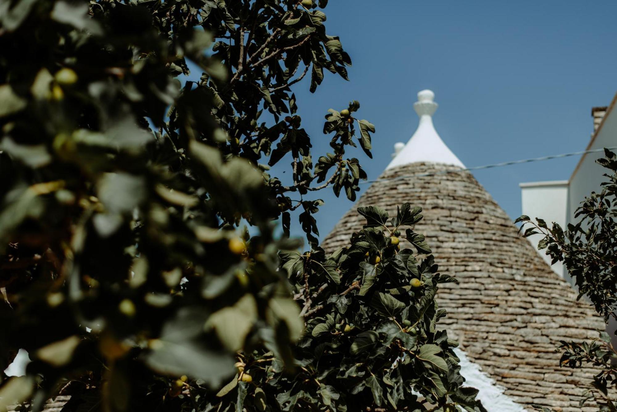 River Trulli Oasi Di Pace In Sito Unesco Alberobello Exteriör bild